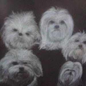 Meet your Posher, Dianna